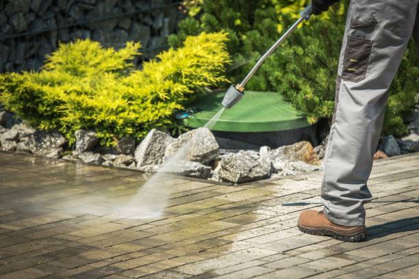 Best Patio and Deck Pressure Washing  in Rose, LA