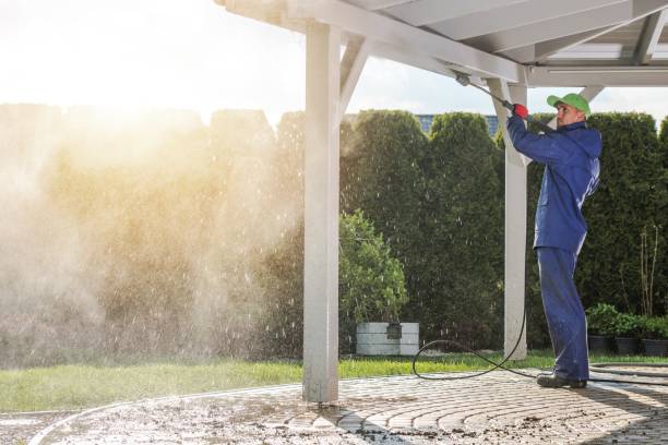  Rose, LA Pressure Washing Pros